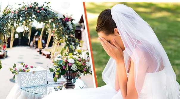 Bräutigam verjagt alle weiblichen Verwandten von seiner Hochzeit, weil sie weiße Kleider angezogen haben